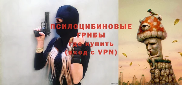 ешки Нефтегорск