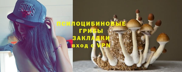 каннабис Алзамай