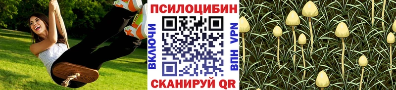 kraken вход  Узловая  Псилоцибиновые грибы мухоморы 