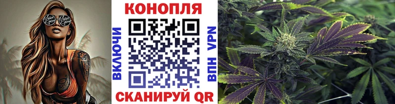 что такое наркотик  Узловая  Канабис SATIVA & INDICA 